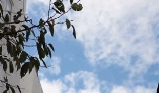 NBES-058復刻版谢恩価格1980円彼女に内