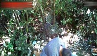 短裤大叔中午找了个戴眼镜的斯文野鸡小树林野战事后