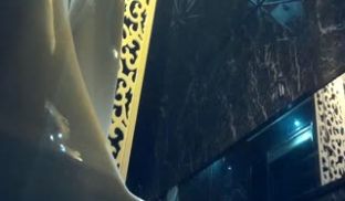 某酒吧女卫定点偷拍形态各异的都市气质靓妹方便都撅