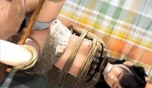 3Dにじいろばんびえっちな秘密基地2