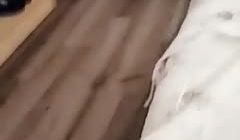 清纯小美眉公园搭讪玩手游小哥到小旅馆啪啪直播妹子